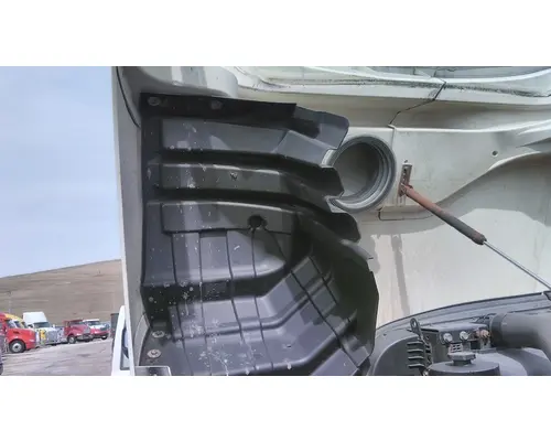 INTERNATIONAL LT HOOD