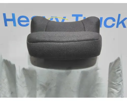 INTERNATIONAL LT Interior Parts, Misc.