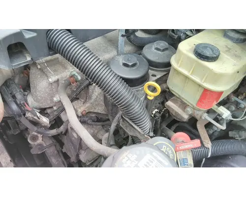 INTERNATIONAL MAXXFORCE 7 V8 (6.4L) ENGINE ASSEMBLY