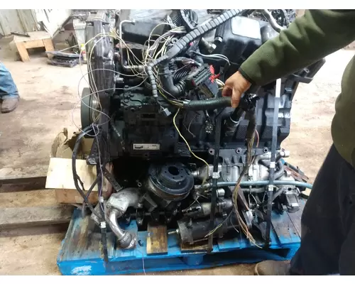 INTERNATIONAL MAXXFORCE DT466 Engine Oil Cooler
