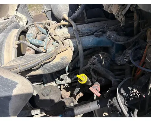INTERNATIONAL MF035 Engine Assembly
