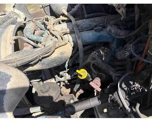 INTERNATIONAL MF035 Engine Assembly