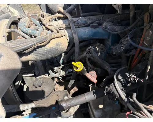 INTERNATIONAL MF035 Engine Assembly