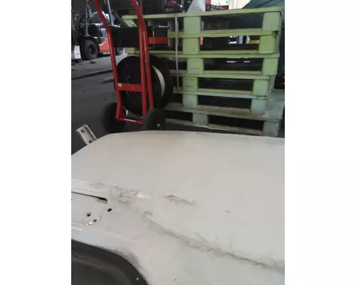 INTERNATIONAL MV607 2019-2025 DOOR ASSEMBLY, FRONT