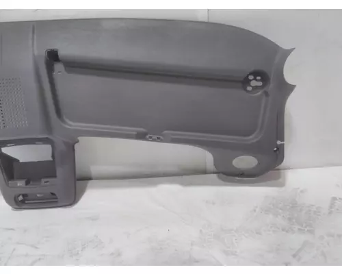 INTERNATIONAL MV Door Panel (Trim)