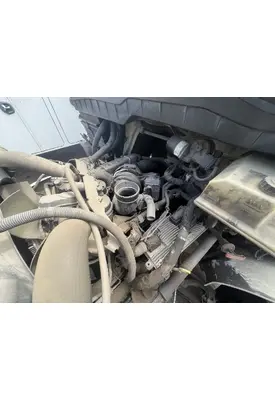 INTERNATIONAL MaxxForce 7 Engine Assembly