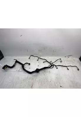 INTERNATIONAL Maxxforce 13 Engine Wiring Harness