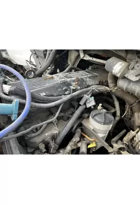 INTERNATIONAL Maxxforce DT Cylinder Head