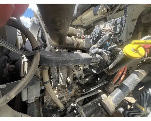 INTERNATIONAL Maxxforce DT Engine Assembly