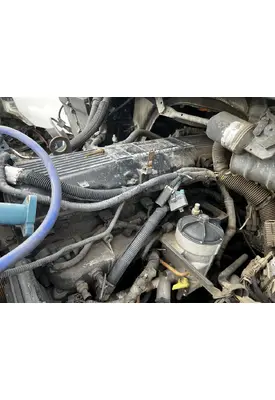 INTERNATIONAL Maxxforce DT Harmonic Balancer