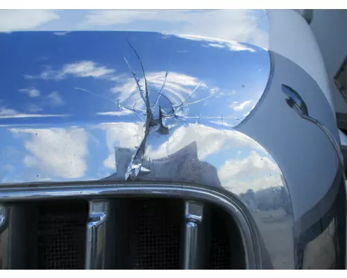 INTERNATIONAL PROSTAR 113 2007-2025 HOOD
