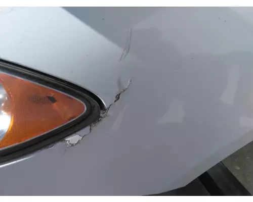 INTERNATIONAL PROSTAR 113 2007-2025 HOOD