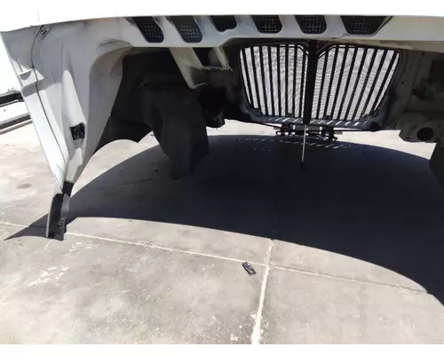 INTERNATIONAL PROSTAR 113 2007-2025 HOOD