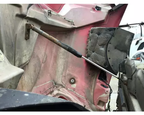 INTERNATIONAL PROSTAR 113 2007-2025 HOOD