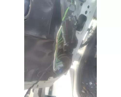 INTERNATIONAL PROSTAR 113 DOOR ASSEMBLY, FRONT