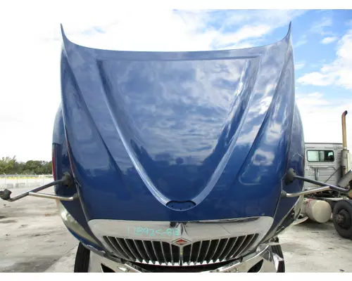 INTERNATIONAL PROSTAR 113 HOOD