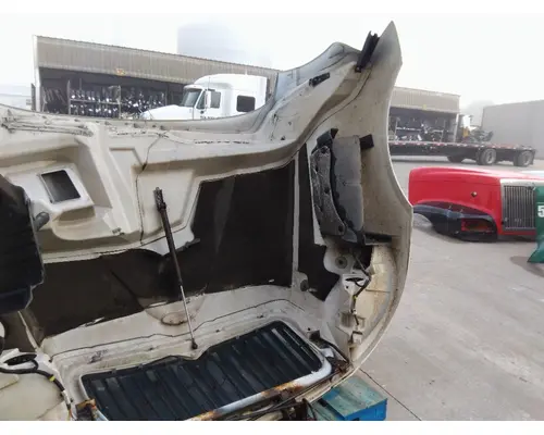 INTERNATIONAL PROSTAR 113 HOOD