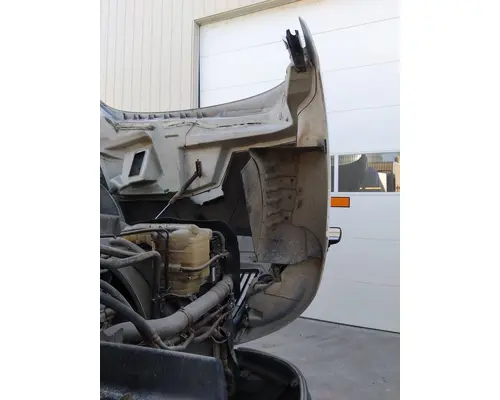 INTERNATIONAL PROSTAR 113 HOOD