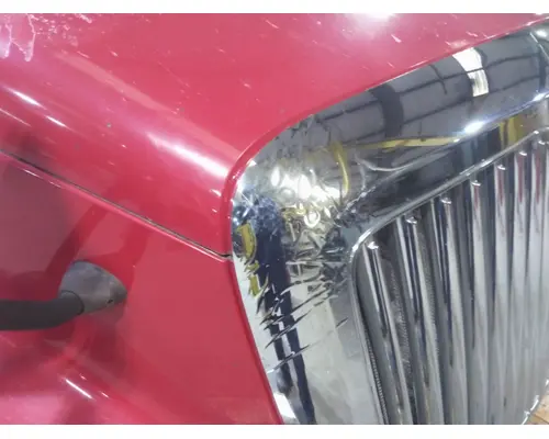 INTERNATIONAL PROSTAR 113 HOOD