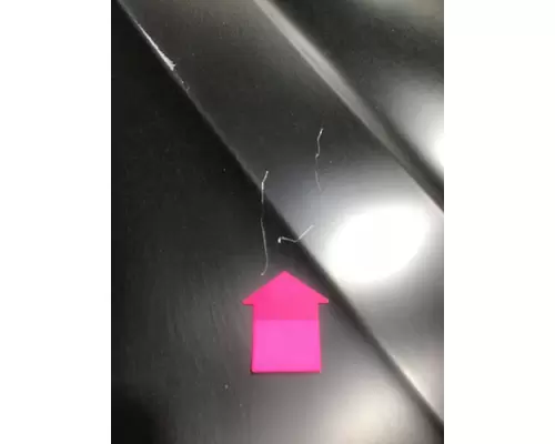INTERNATIONAL PROSTAR 113 Hood