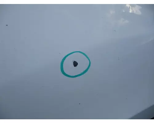 INTERNATIONAL PROSTAR 122 2007-2025 HOOD