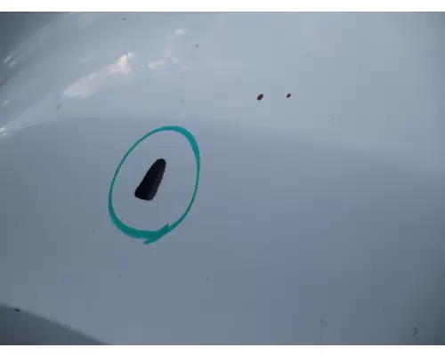 INTERNATIONAL PROSTAR 122 2007-2025 HOOD