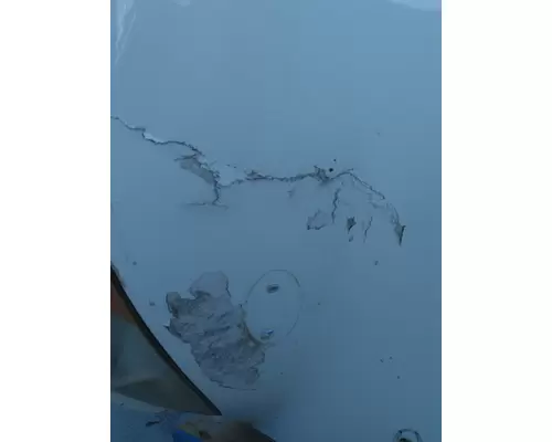 INTERNATIONAL PROSTAR 122 2007-2025 HOOD