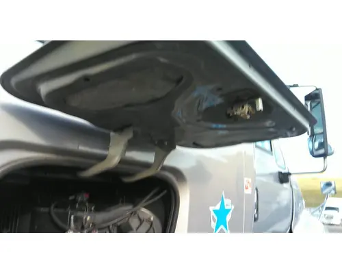 INTERNATIONAL PROSTAR 122 DOOR, COMPARTMENT