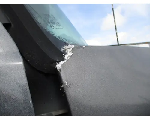 INTERNATIONAL PROSTAR 122 HOOD