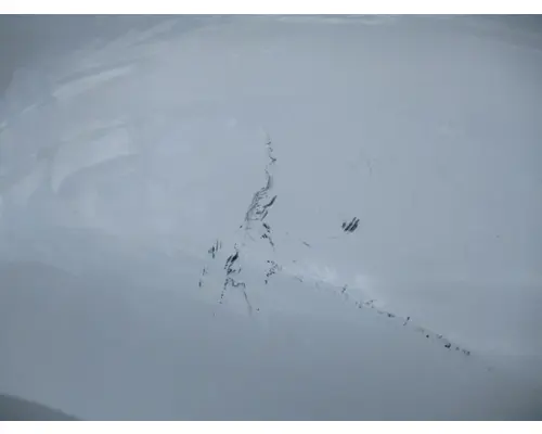 INTERNATIONAL PROSTAR 122 HOOD