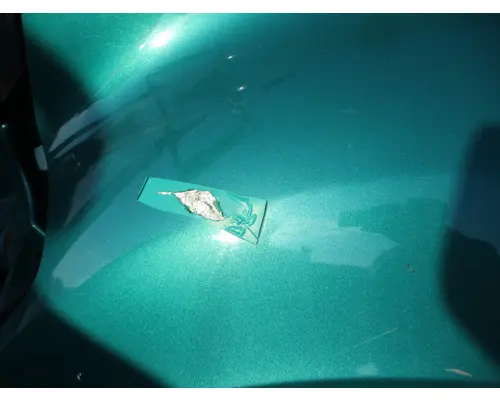 INTERNATIONAL PROSTAR 122 HOOD