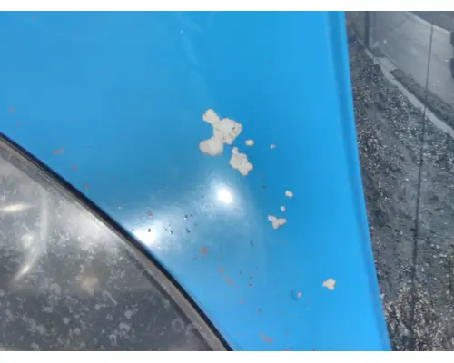 INTERNATIONAL PROSTAR 122 HOOD