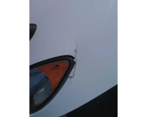 INTERNATIONAL PROSTAR 122 HOOD