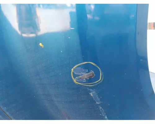 INTERNATIONAL PROSTAR 122 HOOD