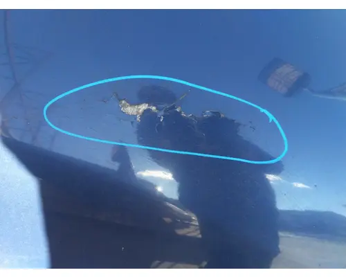 INTERNATIONAL PROSTAR 122 HOOD