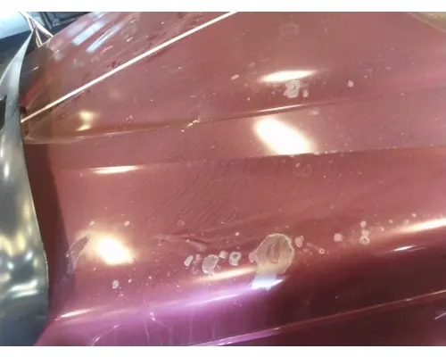 INTERNATIONAL PROSTAR 122 HOOD