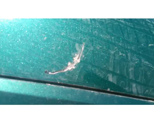 INTERNATIONAL PROSTAR 122 HOOD