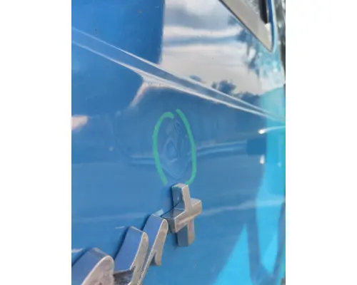 INTERNATIONAL PROSTAR 2008-2018 DOOR ASSEMBLY, FRONT