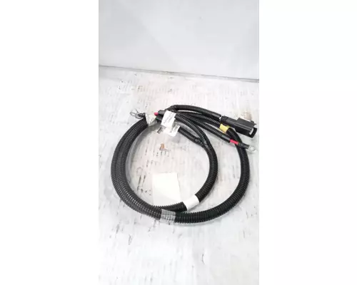 INTERNATIONAL PROSTAR Battery