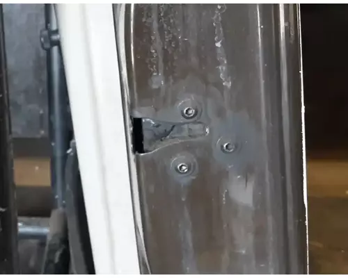 INTERNATIONAL PROSTAR Door Assembly, Front