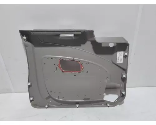 INTERNATIONAL PROSTAR Door Panel (Trim)