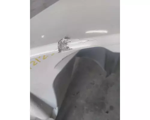 INTERNATIONAL PROSTAR HOOD