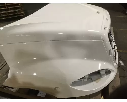 INTERNATIONAL PROSTAR Hood