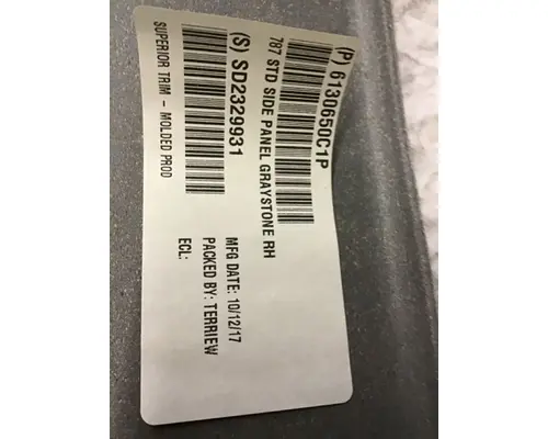 INTERNATIONAL PROSTAR Interior Trim Panel