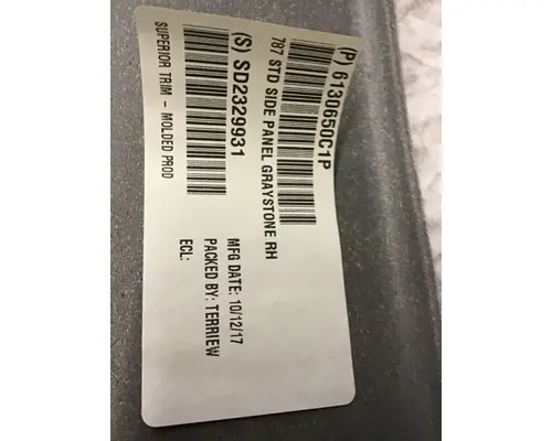 INTERNATIONAL PROSTAR Interior Trim Panel