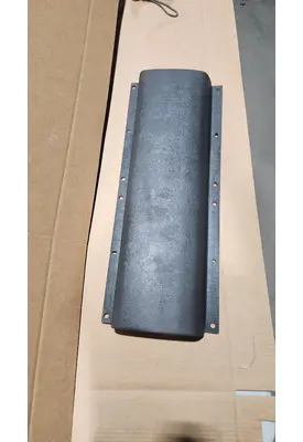 INTERNATIONAL PROSTAR Interior Trim Panel