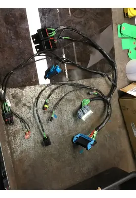 INTERNATIONAL PROSTAR Temperature Control