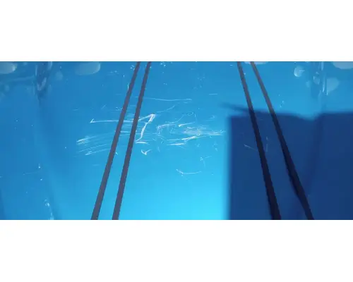 INTERNATIONAL ProStar Hood