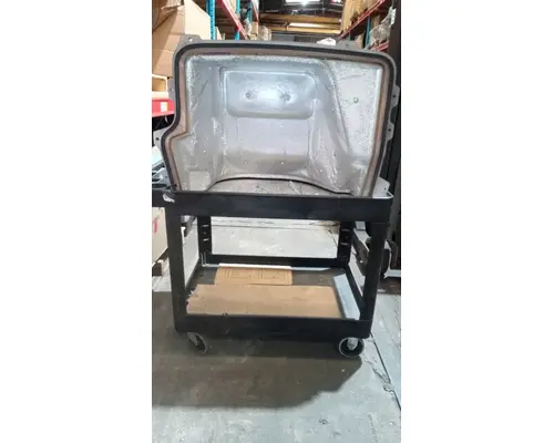 INTERNATIONAL Prostar  Door Panel (Trim)