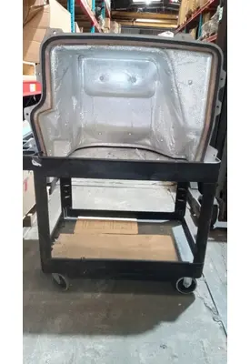 INTERNATIONAL Prostar  Door Panel (Trim)